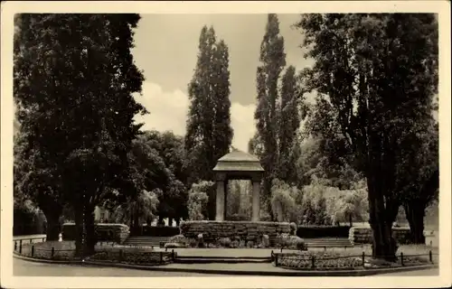 Ak Zeitz an der Weißen Elster im Burgenlandkreis, Karl Marx Promenade