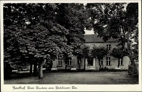 Ak Seddin Seddiner See Brandenburg, Gasthof Drei Linden