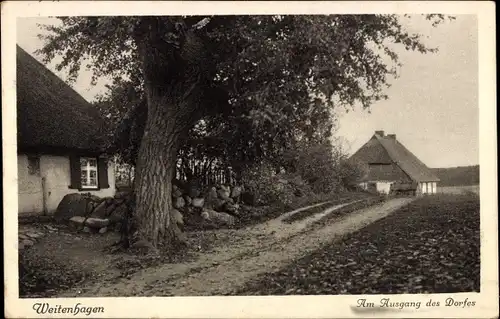 Ak Weitenhagen bei Greifswald, Am Ausgang des Dorfes