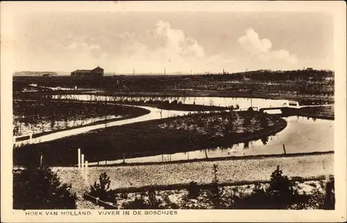 Ak Hoek van Holland Rotterdam Südholland Niederlande, Vijver in de Boschjes