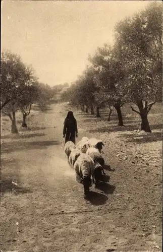 Ak Jerusalem, Israel