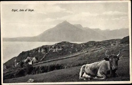 Ak Elgol Isle of Skye Schottland, Landschaft mit Rind