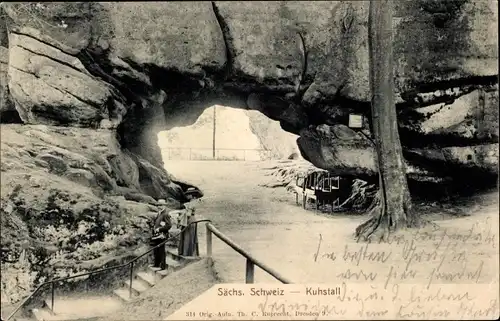 Ak Ostrau Bad Schandau Sächsische Schweiz, Kuhstall