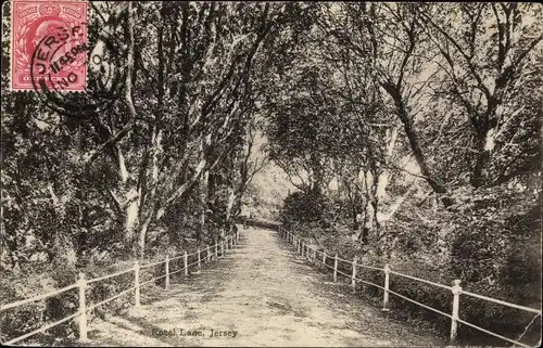 Ak Kanalinsel Jersey, Rozel Lane