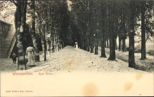 Ak Weißenfels an der Saale, Bad-Allee