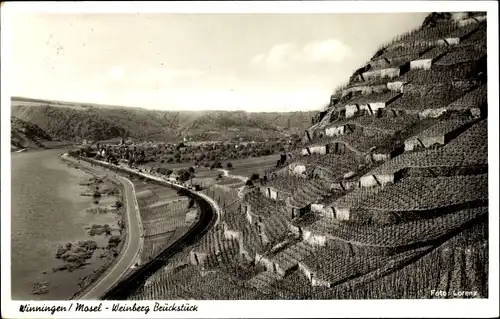 Ak Winningen an der Mosel, Weinberg Brückstück