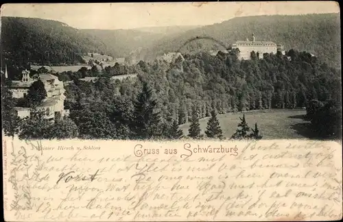 Ak Schwarzburg in Thüringen, Weißer Hirsch und Schloss, Panorama