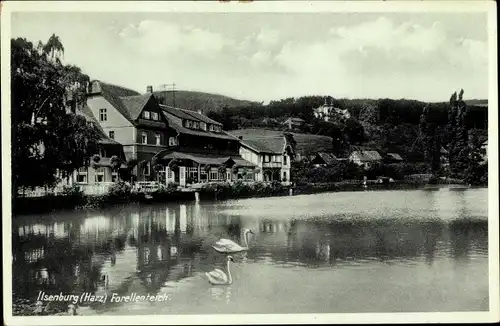 Ak Ilsenburg im Harz, Forellenteich, Schwäne