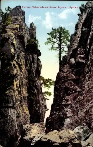 Ak Kaukasus Russland, Felsen, Bäume