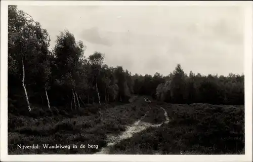 Ak Nijverdal Overijssel Niederlande, Wandelweg in de Berg