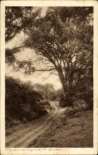 Ak Garoet Garut Java Indonesien, Weg door de bergweide v/d Goentoer