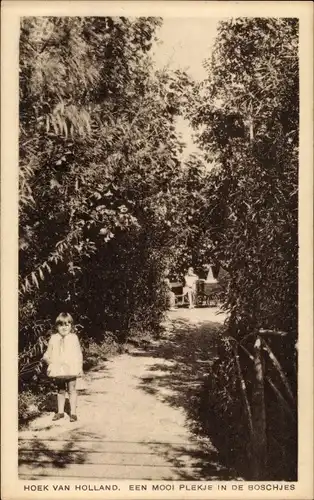 Ak Hoek van Holland Rotterdam Südholland Niederlande, Een Mooi Plekje in de Boschjes