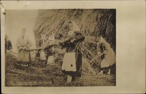 Ak Polenweiber bei der Ernte, Polnische Tracht, Landwirtschaft