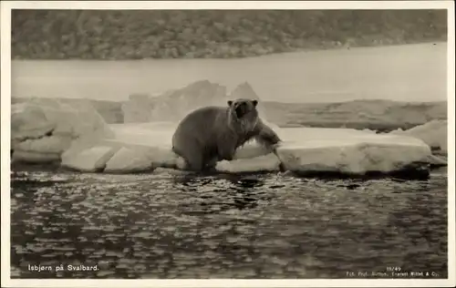 Ak Eisbär im Wasser, Eisscholle, Winterlandschaft