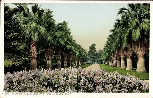 Ak Kalifornien USA, Palm Walk, Eastlake Park