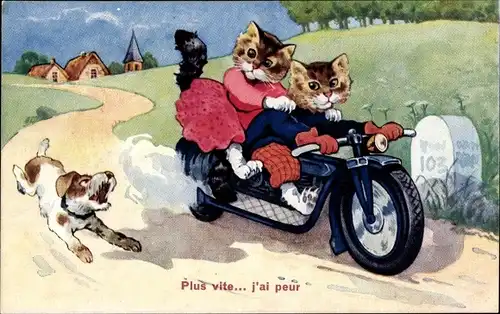 Ak Vermenschlichtes Katzenpaar auf dem Motorrad, Landstraße, Hund