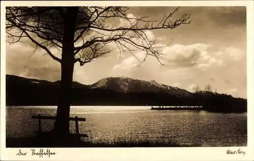 Ak Murnau am Staffelsee, Blick auf den See, Sitzbänke