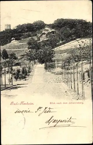 Ak Bad Nauheim in Hessen, Blick nach dem Johannisberg