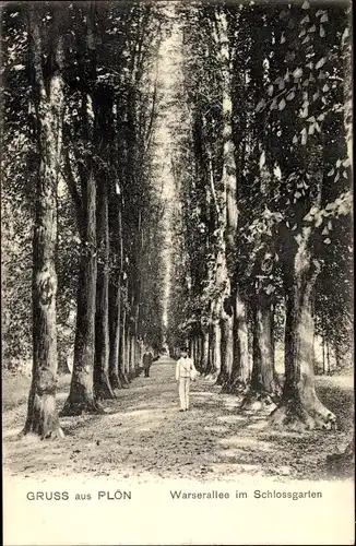 Ak Plön am See Holstein, Wasserallee im Schlossgarten