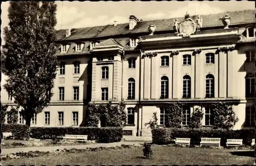 Ak Hansestadt Greifswald, Ernst Moritz Arndt Universität
