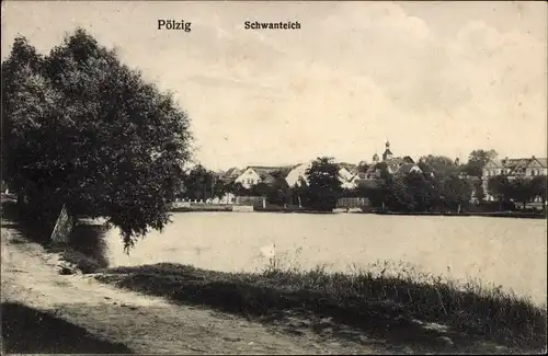 Ak Pölzig in Thüringen, Schwanenteich
