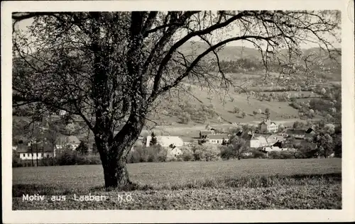 Ak Laaben Spitz in Niederösterreich, Gesamtansicht