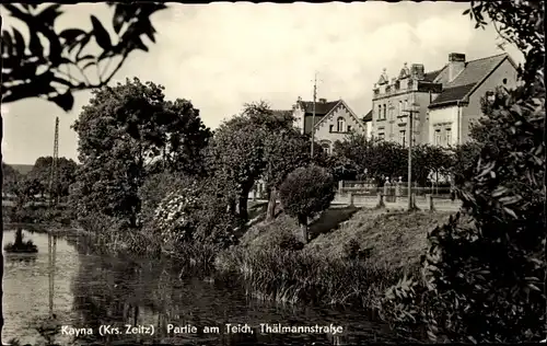 Ak Kayna Zeitz in Sachsen Anhalt, Partie am Teich, Thälmannstraße