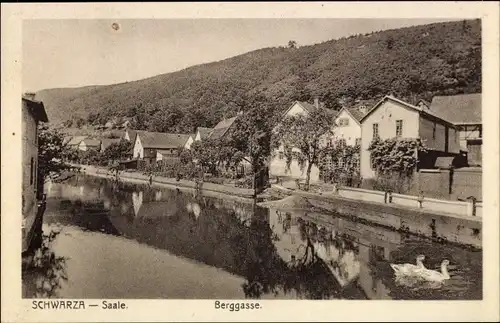 Ak Schwarza Rudolstadt in Thüringen, Berggasse, Wasserpartie