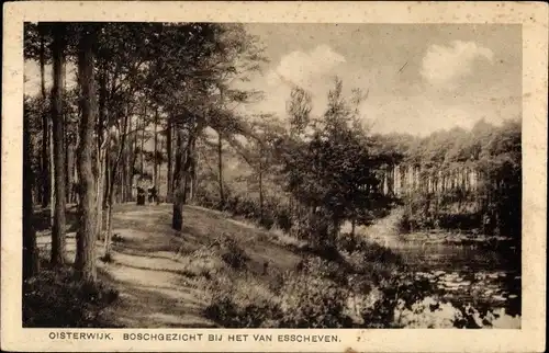 Ak Oisterwijk Nordbrabant Niederlande, Boschgezicht bij het van Esscheven