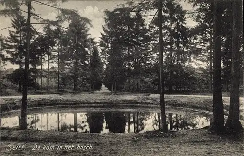 Ak Zeist Utrecht Niederlande, De kom in het bosch