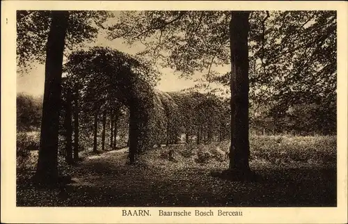 Ak Baarn Utrecht Niederlande, Baarnsche Bosch Berceau