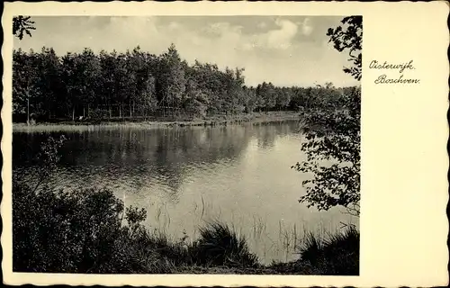 Ak Oisterwijk Nordbrabant Niederlande, Boschven