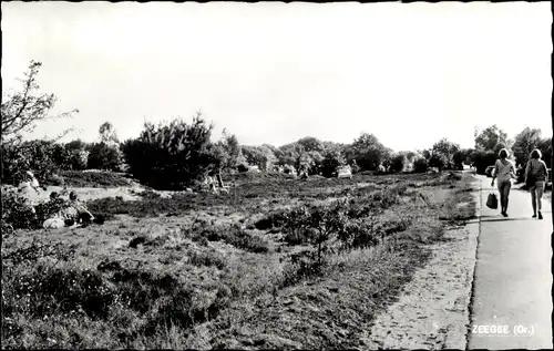 Ak Zeegse Drenthe, Straßenpartie, Landschaft