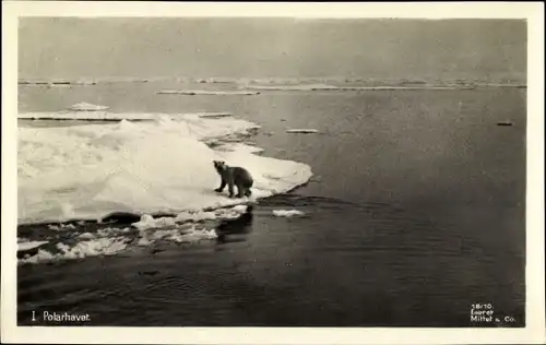 Ak Norge Norwegen, Eisbär