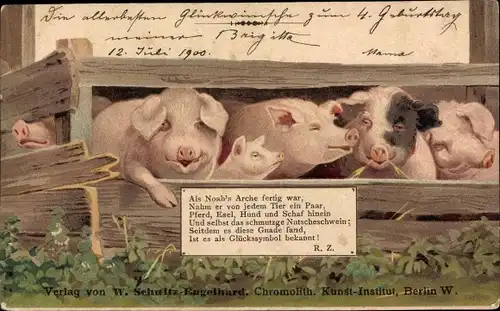 Litho Schweine im Schweinestall, Schweine-Familie, Bauernhof