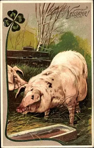 Präge Ak Glückwunsch Neujahr, Schweine, Klee