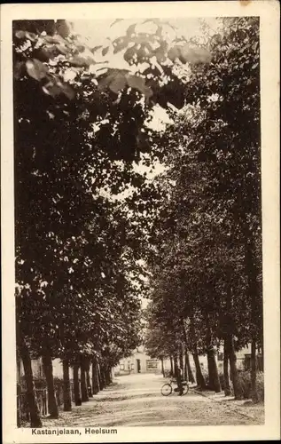 Ak Heelsum Gelderland Niederlande, Kastanjelaan
