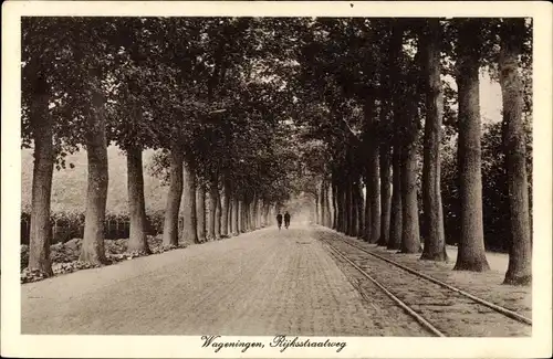 Ak Wageningen Gelderland Niederlande, Rijksstraatweg