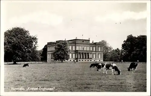 Ak Hummelo Gelderland, Kasteel Enghuizen, Kühe auf Wiese