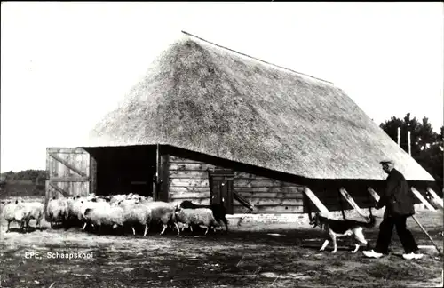 Ak Epe Gelderland Niederlande, Schaapskoi, De Herdershof, Sprengenweg 11, Schäfer mit Hund