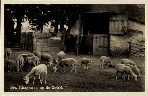 Ak Ede Gelderland Niederlande, Schaapskooi op de Ginkel