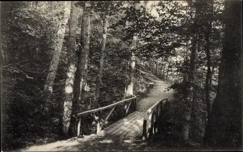 Ak Södertelge Schweden, Waldweg, Brücke