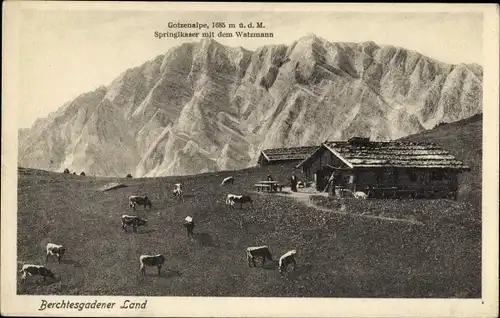 Ak Berchtesgaden Oberbayern, Gotzenalm, Springlkaser mit dem Watzmann, Kühe