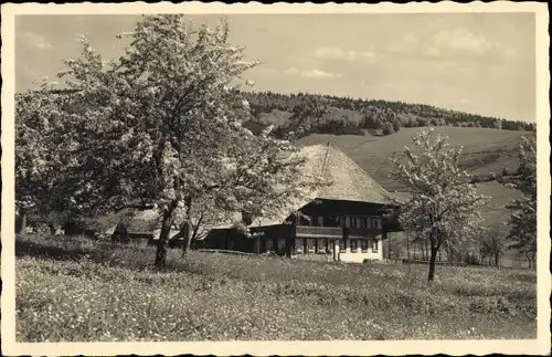 Ak Todtmoos im Schwarzwald, Frühling, Panorama