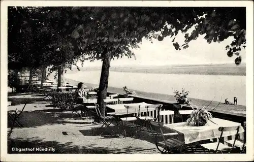 Ak Nünchritz in Sachsen, Elbgasthof Nünchritz, Terrasse