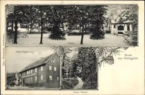 Ak Hohegeiß Braunlage im Oberharz, Hotel Engelmann, Dicke Tannen, Gartenpartie