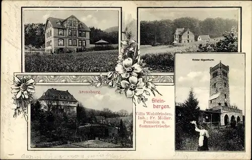 Ak Steinbergen Rinteln in Niedersachsen, Villa Waldfrieden, Arensburg, Klippenturm