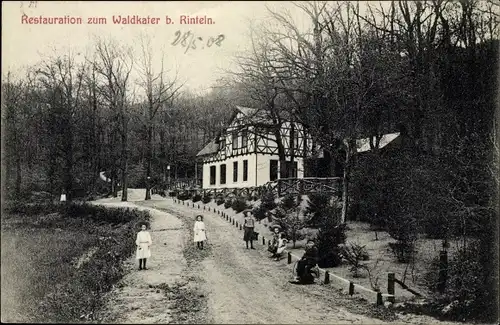 Ak Rinteln an der Weser, Restauration zum Waldkater