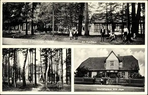 Ak Lintzel Wriedel in der Lüneburger Heide, Forsthaus, Geschäftshaus, Schule