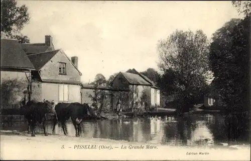 Ak Pisseleu Oise, La Grande Mare